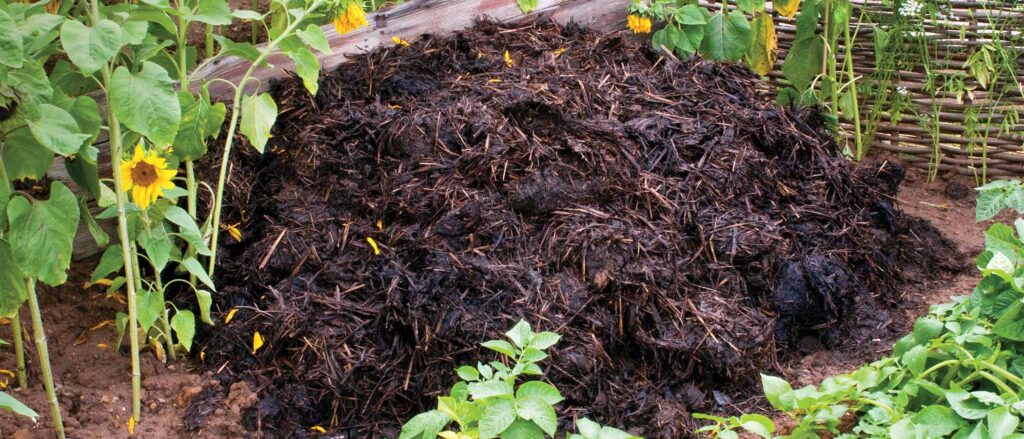 Green Gold: The Ultimate Guide to Compost and Manure for a Thriving Garden