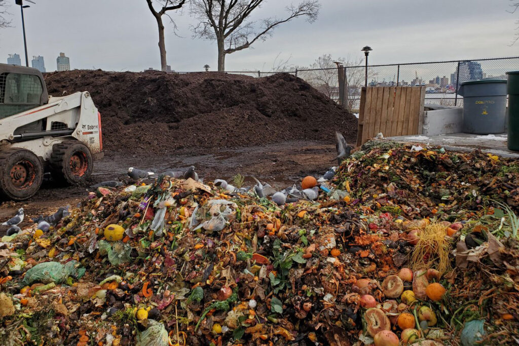 Green Gold: The Ultimate Guide to Compost and Manure for a Thriving Garden